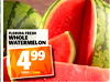 FLORIDA FRESH WHOLE WATERMELON 499 EACH/CADA