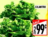 CILANTRO SALE PZ 2 99