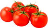 Organically Grown Red Tomatoes on the Vine