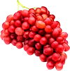 Red or Green Seedless Grapes