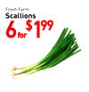 Fresh Farm Scallions