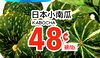 KABOCHA /lb