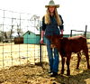 16' Cattle Panel