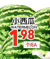 WATERMELON 98 1 T/EA