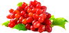 Red & Green Seedless Grapes