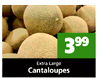 399 Extra Large Cantaloupes