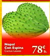 Nopal Con Espina Cactus Leaves 78th