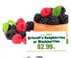 6 oz Sweet Driscoll's Raspberries or Blackberries