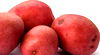 RED POTATOES