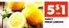 5$1FOR FANCY FRESH LEMONS