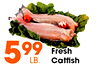 599 Fresh LB. Cattish
