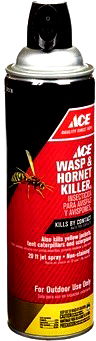 Ace