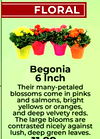FLORAL Begonia 6 Inch Their many-petaled blossoms come in pinks and salmons, bright yellows or oranges, and deep velvety reds. The large blooms are contrasted nicely against lush, deep green leaves.