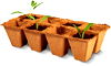 Parkside plant/seed starters