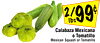 Mexican Squash or Tomatillo