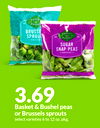 Basket & Bushel