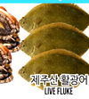 LIVE FLUKE