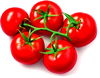 Tomatoes on the Vine