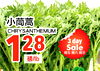 CHRYSANTHEMUM 128 /lb 3 day Sale
