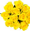 Dozen Roses