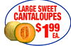 LARGE SWEET CANTALOUPES