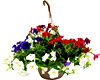 Patriotic Hanging Basket