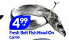 499 Fresh Belt Fish Head On Cá Hô