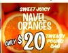 SWEET JUICY NAVEL ORANGES TWENTY ONLY $ 20 POUND BAG