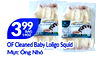 399 14OZ BARYLOLICO SON OF Cleaned Baby Loligo Squid Mu'c Ong Nho
