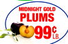 MIDNIGHT GOLD PLUMS