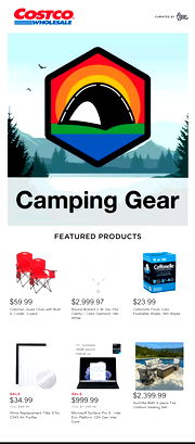 Costco Ad 06/02/2023 - 06/09/2023 preview