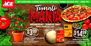 Ace Hardware Ad 05/31/2023 - 06/04/2023 preview