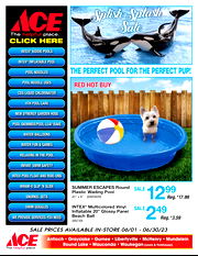 Ace Hardware Ad 06/01/2023 - 06/30/2023 preview